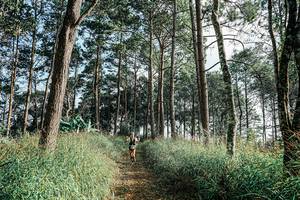 BIB: 
                            <button type="button" onclick="openModal(25657537)" class="btn btn-primary btn-sm float-right btn-popup" data-toggle="modal" data-target=".modal-high-quality">
                        <i class="fas fa-shopping-cart"></i> Add to Cart
                    </button>
                                            <button type="button" onclick="isThisMe(25657537, true)" class="btn btn-success btn-sm float-right btn-popup btn-isme hidden" data-toggle="tooltip" data-placement="bottom" title="นี่คือรูปของคุณใช่ไหม คลิกที่นี่เพื่อเอาเข้าอัลบั้ม">
                        <i class="fas fa-plus"></i> Add to album
                    </button>
                    <button type="button" onclick="isThisMe(25657537, false)" class="btn btn-warning btn-sm float-right btn-popup btn-isnotme hidden">
                        <i class="fas fa-ban"></i> Remove from album
                    </button>